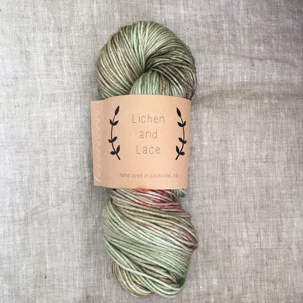 Lichen and Lace Organic Merino 80/20 Sock - Seagrass